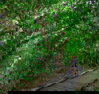 Green Island Eco Adventure from Cairns - Darwin Tourism