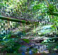 Double Pack-Ancient Rainforest and Waterfalls - Darwin Tourism