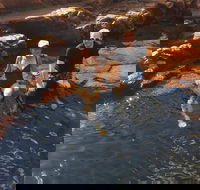 One Day Litchfield Park Adventures - Darwin Tourism