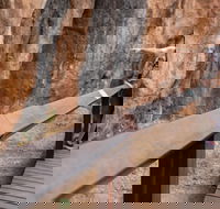 Chillagoe Caves and Outback Day Trip from Cairns - Darwin Tourism