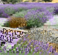 Kangaroo Island Food and Wine Trail Tour - Darwin Tourism