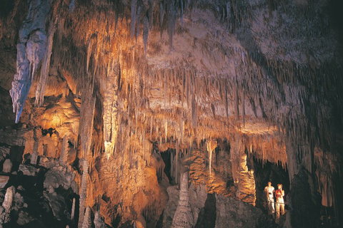 4 Day Tour: Albany, Margaret River, Valley Of The Giants TreeTop Walk From Perth - Darwin Tourism 1