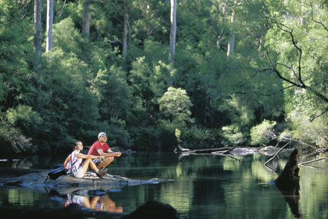 4 Day Tour: Albany, Margaret River, Valley Of The Giants TreeTop Walk From Perth - Darwin Tourism 3