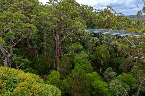 4 Day Tour: Albany, Margaret River, Valley Of The Giants TreeTop Walk From Perth - Darwin Tourism 4