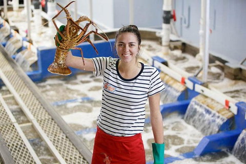 Pinnacles Desert, Koalas And Sandboarding 4WD Day Tour From Perth - Darwin Tourism 0