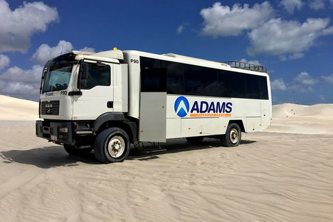 Pinnacles Desert, Koalas And Sandboarding 4WD Day Tour From Perth - Darwin Tourism 2