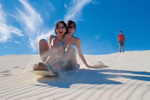 Pinnacles Desert, Koalas And Sandboarding 4WD Day Tour From Perth - Darwin Tourism 3