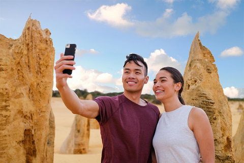 Pinnacles Desert, Koalas And Sandboarding 4WD Day Tour From Perth - Darwin Tourism 4