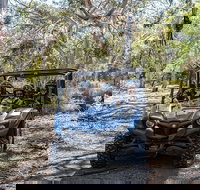 Small-Group Buggy Tour at Little Sahara with Guide - Darwin Tourism