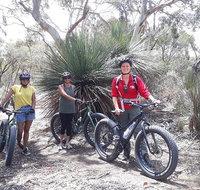 2 Hour Bike Tour in Kangaroo Island - Darwin Tourism