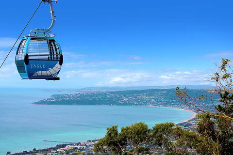 Peninsula Hot Springs Tour With Restaurant Lunch & Gondola Ride - Darwin Tourism 1