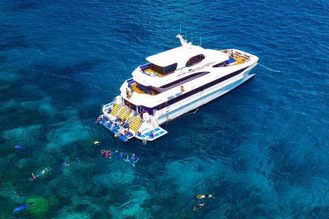 Great Barrier Reef Snorkeling And Diving Cruise From Cairns - Darwin Tourism 5