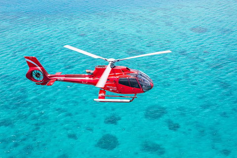 Cruise To Moore Reef Pontoon And Return Helicopter Flight From Cairns - Darwin Tourism 1