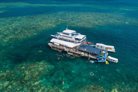 Cruise To Moore Reef Pontoon And Return Helicopter Flight From Cairns - Darwin Tourism 2