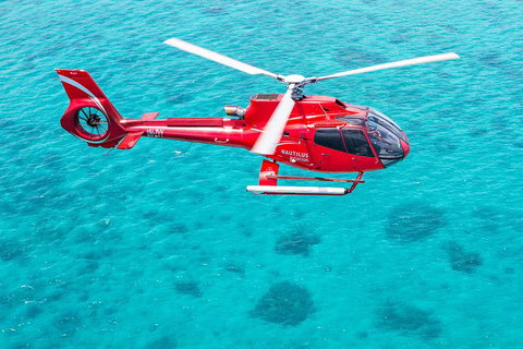 Helicopter And Cruise Packages From Port Douglas - Darwin Tourism 5