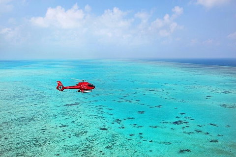 Ultimate Great Barrier Reef And Rainforest 45-minute Helicopter Tour - Darwin Tourism 2
