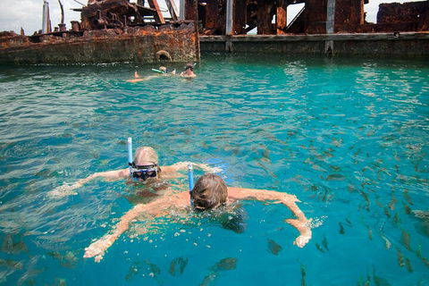 Moreton Island Snorkel And Sandboarding 4WD Day Trip From Brisbane - Darwin Tourism 0