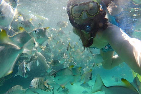 Moreton Island Snorkel And Sandboarding 4WD Day Trip From Brisbane - Darwin Tourism 3