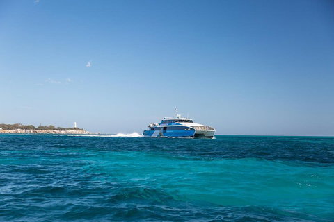 Fremantle To Rottnest Island Roundtrip Ferry Ticket - Darwin Tourism 5