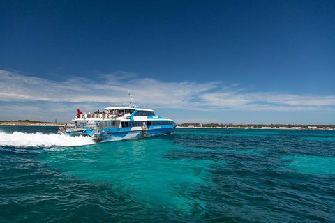 Rottnest Island Bike & Ferry Package From Fremantle - Darwin Tourism 4