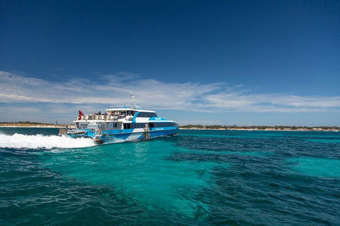 Perth To Rottnest Island Roundtrip Ferry Ticket - Darwin Tourism 4