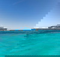 Rottnest Island Bayseeker Day Trip from Perth - Darwin Tourism