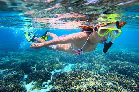 Abrolhos Islands Scenic Flight & Snorkel Adventure From Perth - Darwin Tourism 1