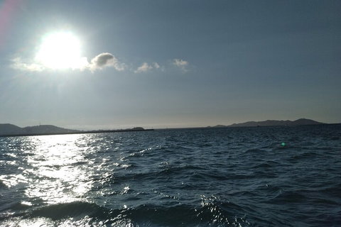 Townsville Small Group Early Morning Sailing Cruise Boat Tour Charter Hire - Darwin Tourism 4