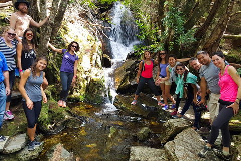 7-Day Super Value Tour Of Tasmania: Explore Tasmania's West And East Coasts - Darwin Tourism 2