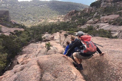 2-Day Tas East Coast Escape Tour Including Bay Of Fires, Wineglass Bay & Devils - Darwin Tourism 2