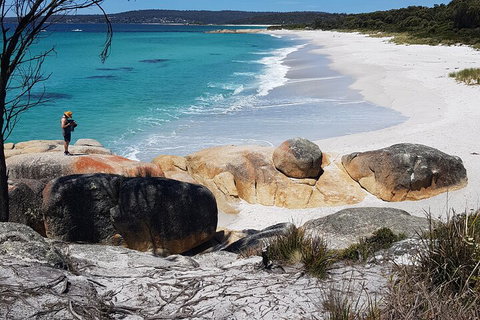 2-Day Tas East Coast Escape Tour Including Bay Of Fires, Wineglass Bay & Devils - Darwin Tourism 4