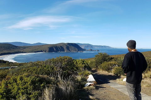 4-Day Fabulous Tasmania Tour: Wineglass Bay, Port Arthur, Devils & Bruny Island - Darwin Tourism 0