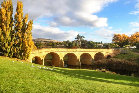 4-Day Fabulous Tasmania Tour: Wineglass Bay, Port Arthur, Devils & Bruny Island - Darwin Tourism 1