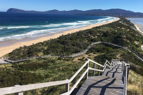 4-Day Fabulous Tasmania Tour: Wineglass Bay, Port Arthur, Devils & Bruny Island - Darwin Tourism 5