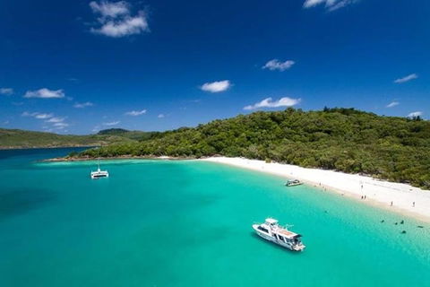 Whitehaven Beach And Hill Inlet | Awesome Beach BBQ | Family Friendly - Darwin Tourism 3