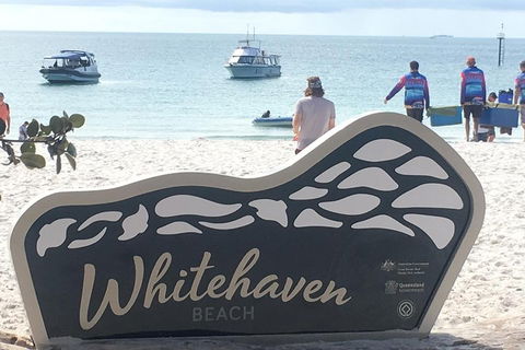 Whitehaven Beach And Hill Inlet | Awesome Beach BBQ | Family Friendly - Darwin Tourism 5