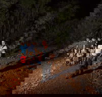 Alice Springs Desert Park Nocturnal Tour - Darwin Tourism