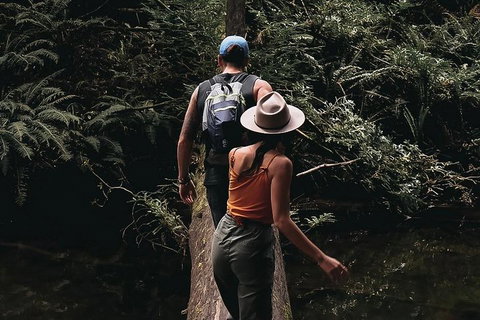 Small Group - 12 Apostles, Otways & Great Ocean Road Day Tour From Melbourne - Darwin Tourism 5