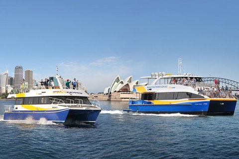 Go City | Sydney Explorer Pass With 20+ Attractions And Tours - Darwin Tourism 5