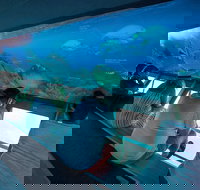 Great Barrier Reef Day Cruise to Reefworld - Darwin Tourism