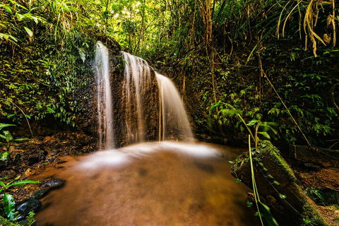 Paronella Park Admission Ticket - Darwin Tourism 5