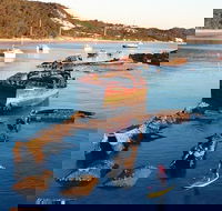 Adventure Moreton Island Wrecks Adventure Package - Darwin Tourism