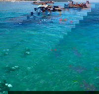 Adventure Moreton Island Scuba Dive Tour - Darwin Tourism