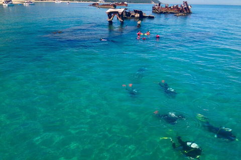 Adventure Moreton Island Scuba Dive Tour - Darwin Tourism 0