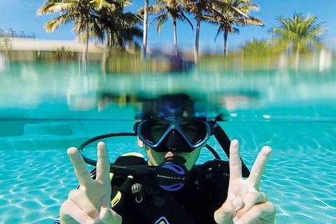 Adventure Moreton Island Scuba Dive Tour - Darwin Tourism 2