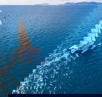 2-Night Whitsunday Islands Sailing Adventure on Trimaran Avatar - Darwin Tourism