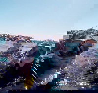 Wave Break Island Scuba Diving on the Gold Coast - Darwin Tourism