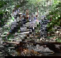 Cairns ATV Adventure Tour and Morning Skyrail - Darwin Tourism