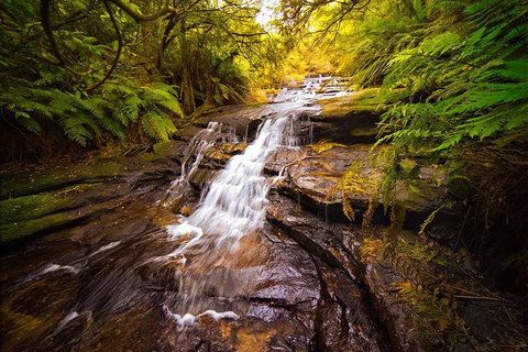 Fully Inclusive Blue Mountains Private Tour Inc Scenic World & Featherdale Entry - Darwin Tourism 3