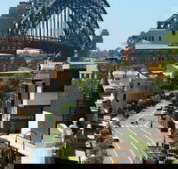 Big Bus Sydney and Bondi Hop-on Hop-off Tour - Darwin Tourism